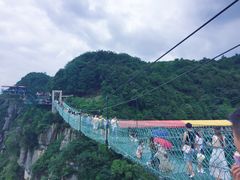 -梦幻奥陶纪景区