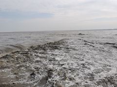 -观潮胜地公园