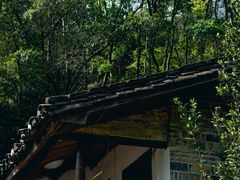 -江西龙虎山景区