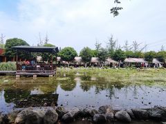 -洪湖家庭农场·团建·露营·会议