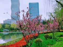 -新虹桥中心花园