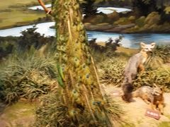 -陕西自然博物馆