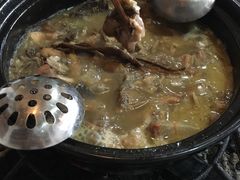 -蘑统田下·野生菌火锅