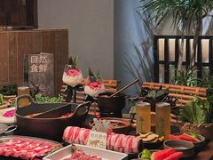-大龙燚·旷野鲜火锅(广州首店)