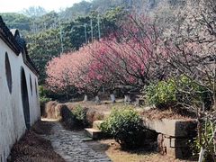 -雨花胜境