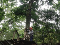 -紫金山山顶公园
