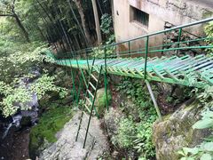 -藏龙百瀑风景区