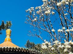 -潭柘寺景区