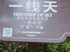 -汤旺河林海奇石景区