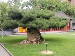 -护国法轮寺