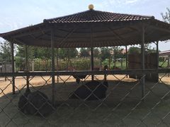 -意大利农场度假村