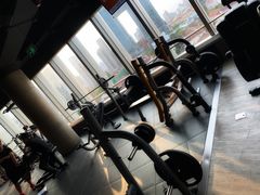 -威尔仕健身(虹桥南丰城店)