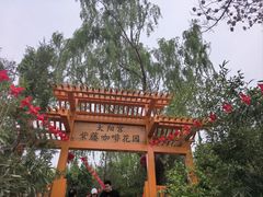 -太阳宫公园