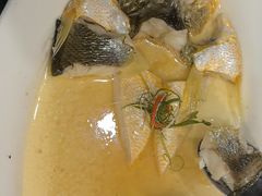 鸡油花雕蒸生态大黄鱼-麟1929(外滩店)