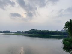 -大兴滨河森林公园