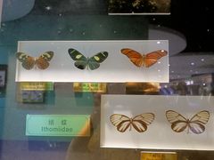 -上海昆虫博物馆