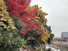 -水绘园