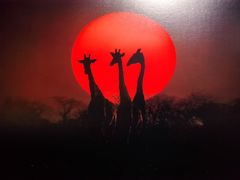 -罗红摄影艺术馆