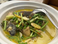 -饭怕鱼·黄焖鲟龙鱼(湖大店)