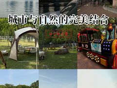 -金鸡湖桃花岛