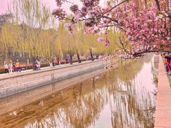 -元大都城垣遗址公园