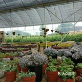初夏的好去处～