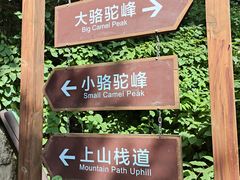 -大岭沟猕猴桃谷风景区