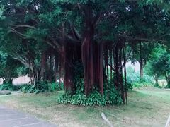 -厦门国家会计学院