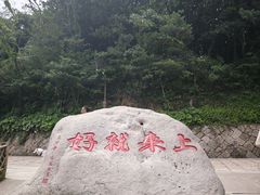 -普陀山风景区-佛顶山