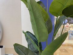 -天真蓝照相馆(杭州滨江宝龙店)