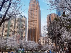 -西北湖绿化广场