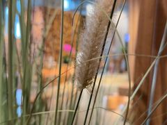 -园里火锅(仁和新城店)