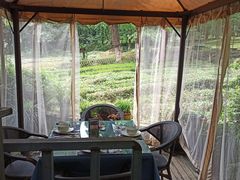 -野蔓果·山野菜(西湖景区·龙井茶田店)