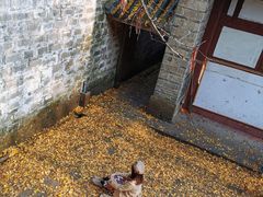 -金堂县云顶石城风景区