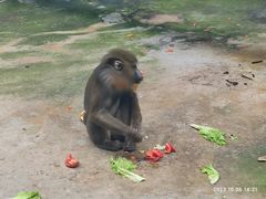 -鄂尔多斯野生动物园