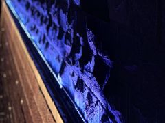 -屯溪老街