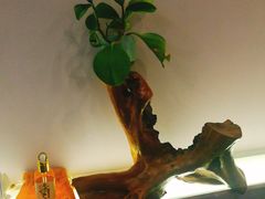 -茶油香闽南菜·花园餐厅(前埔店)