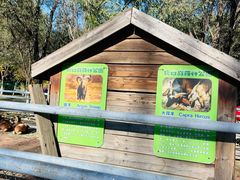 -长白岛森林公园