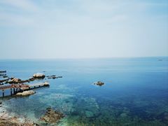 -养马岛旅游度假区