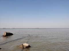 -上海滨江森林公园