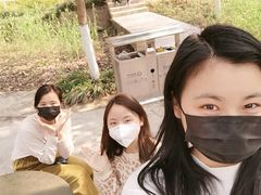 -重庆彩云湖湿地公园