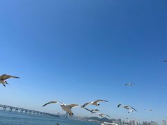 -星海广场