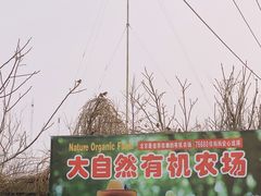 -大自然农场蔬菜草莓采摘园