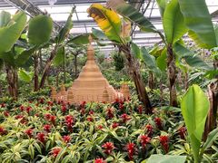 -南宫五洲植物乐园