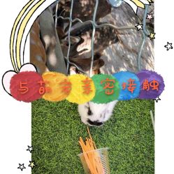 -萌宠亲子动物乐园(槐房万达店)