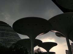 -新荟城(望京店)
