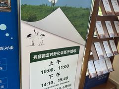 -盐城丹顶鹤湿地生态旅游区