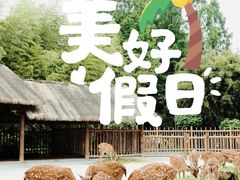 -金沙遗址博物馆