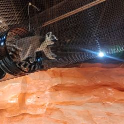 -Zoolung Zoolung动物主题公园(海信广场店)