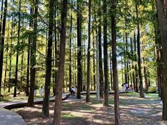 -南京市无想山景区